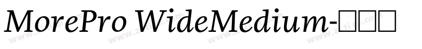 MorePro WideMedium字体转换